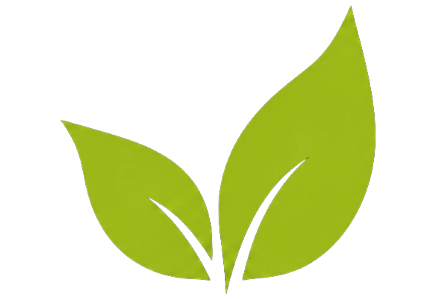 Aaditra Leaves Decor